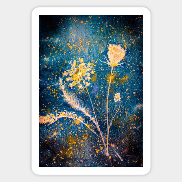 Botanical cyanotype 6 Sticker by redwitchart